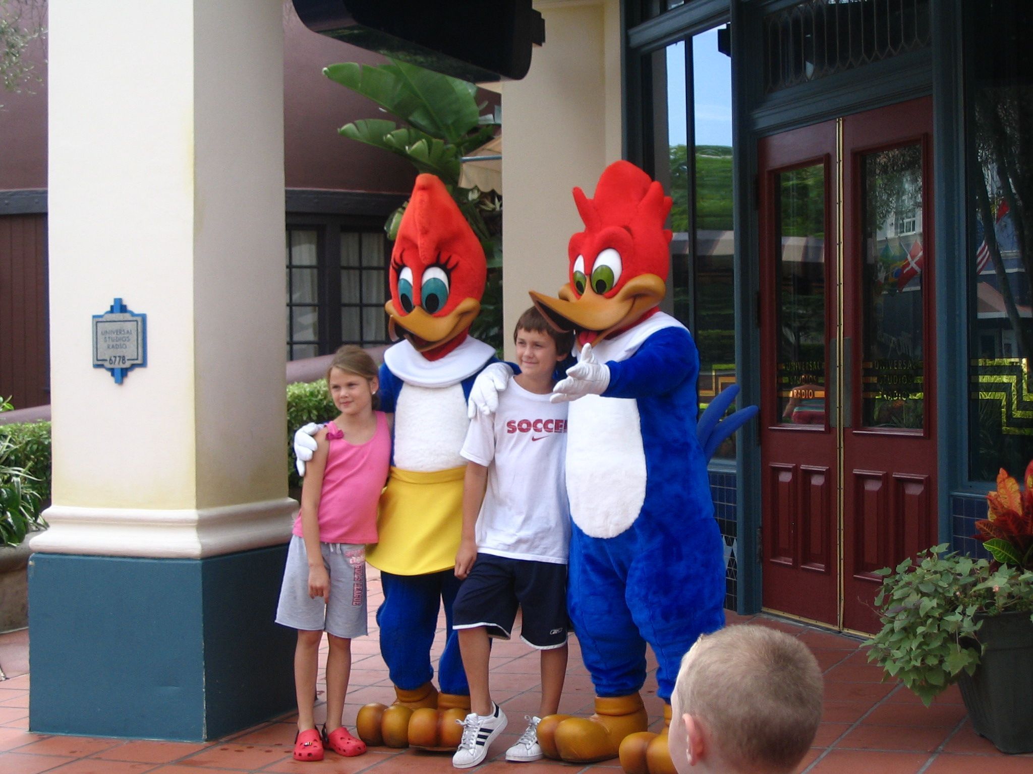 universal studio pictures universal studio pictures